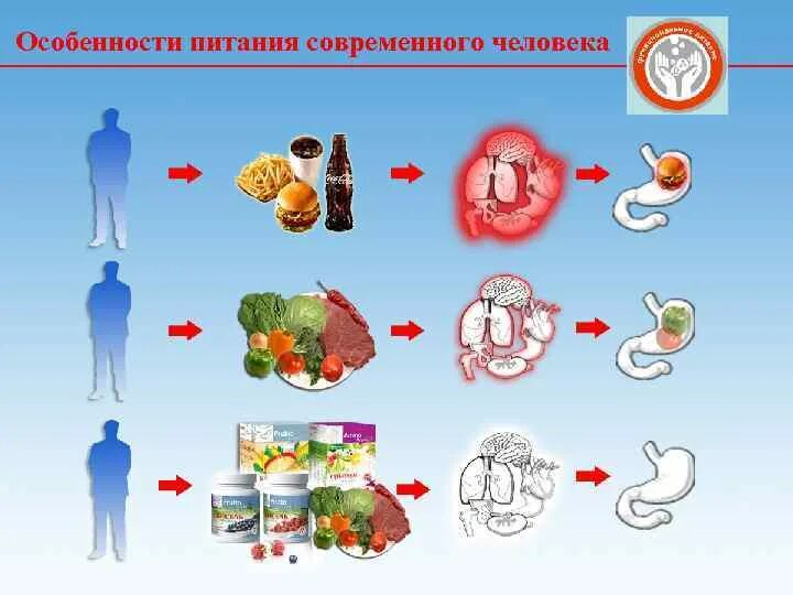 Решение проблем питания. Питание современного человека. особенности питания. пища современного человека. особенности питания человека.