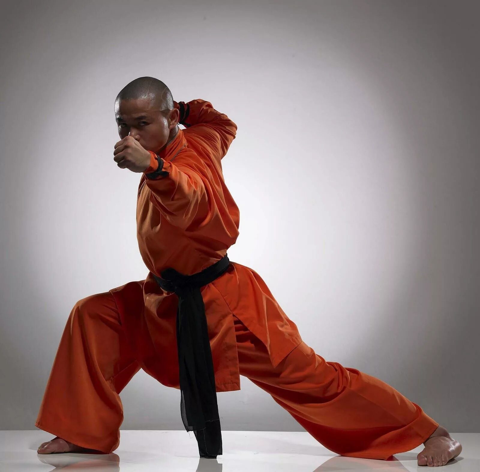 тайдзюцу удары. смешанные единоборства юфс. спортивные единоборства бокс.