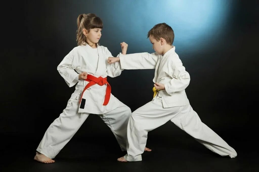 восточные единоборства для детей. детские боевые искусства. тхэквондо дети. каратэ дети. детские боевые искусства.