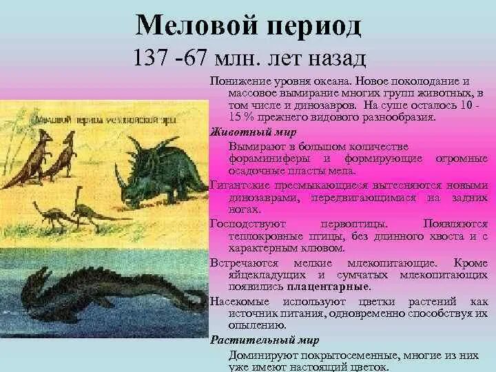 Меловой период мезозойской. Мезозой меловой период климат. Животный и растительный мир мелового периода. Периоды которые относятся к мезозойской эре. Меловой период относится к.