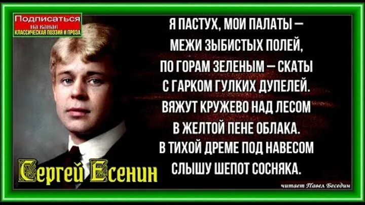 Я пастух Мои палаты Есенин. Стих Есенина Разбуди меня завтра рано о моя терпеливая мать. Разбуди меня рано Есенин. Разбуди меня завтра рано Есенин. Есенин терпеливая мать