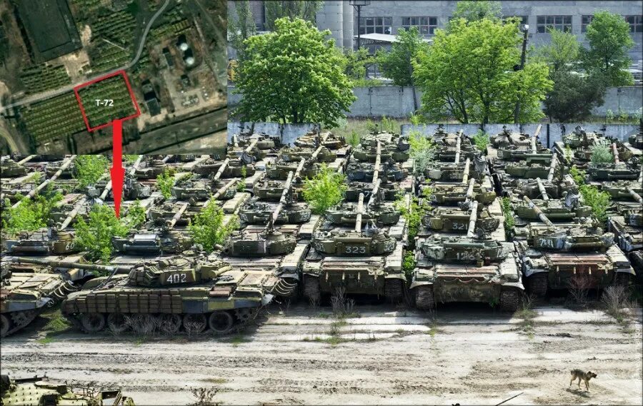 Многие т