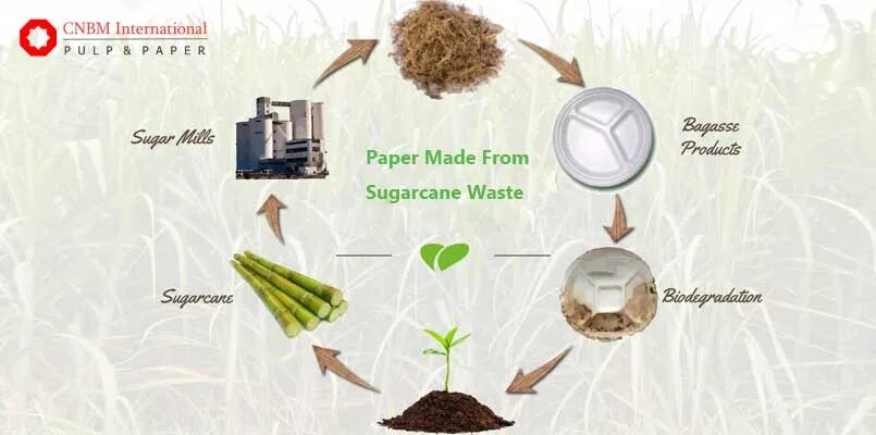 How paper is made. Paper is made. How paper is made. How paper is made. How paper is made 10 класс.