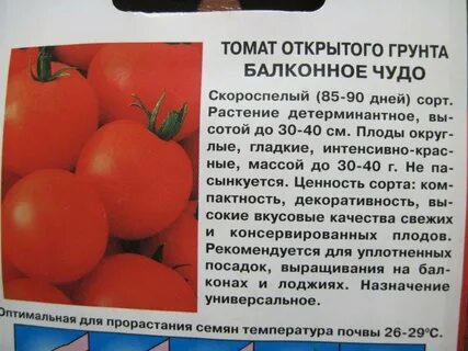 Томат балконное чудо описание