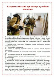 Какие сведения необходимо сообщить оператору