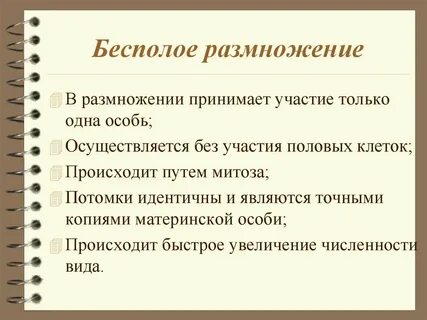 Размножение копий