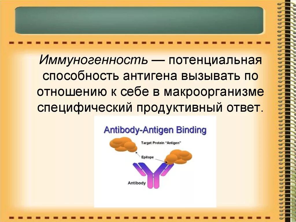 Антигены вызывают. Иммуногенные антигены. Иммуногенность антител. Способность антигена вызывать. Масса антигена.