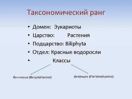 Таксоны эукариотов
