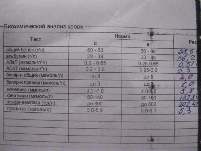 Биохимия анализ крови показатели печени. Биохимия крови анализ показатели печени норма. Биохимический анализ печени норма. Анализ крови из вены расшифровка печеночные.