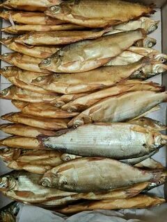Пелядь рыба вкусная