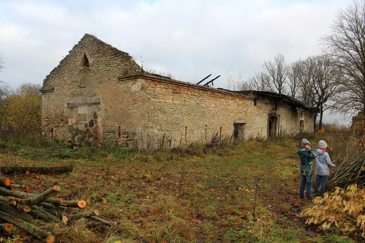 Советские комбайны. Реорганизация совхозов. Реорганизация совхозов. Мыза ленинградская область. Мелиорация земель в ссср.