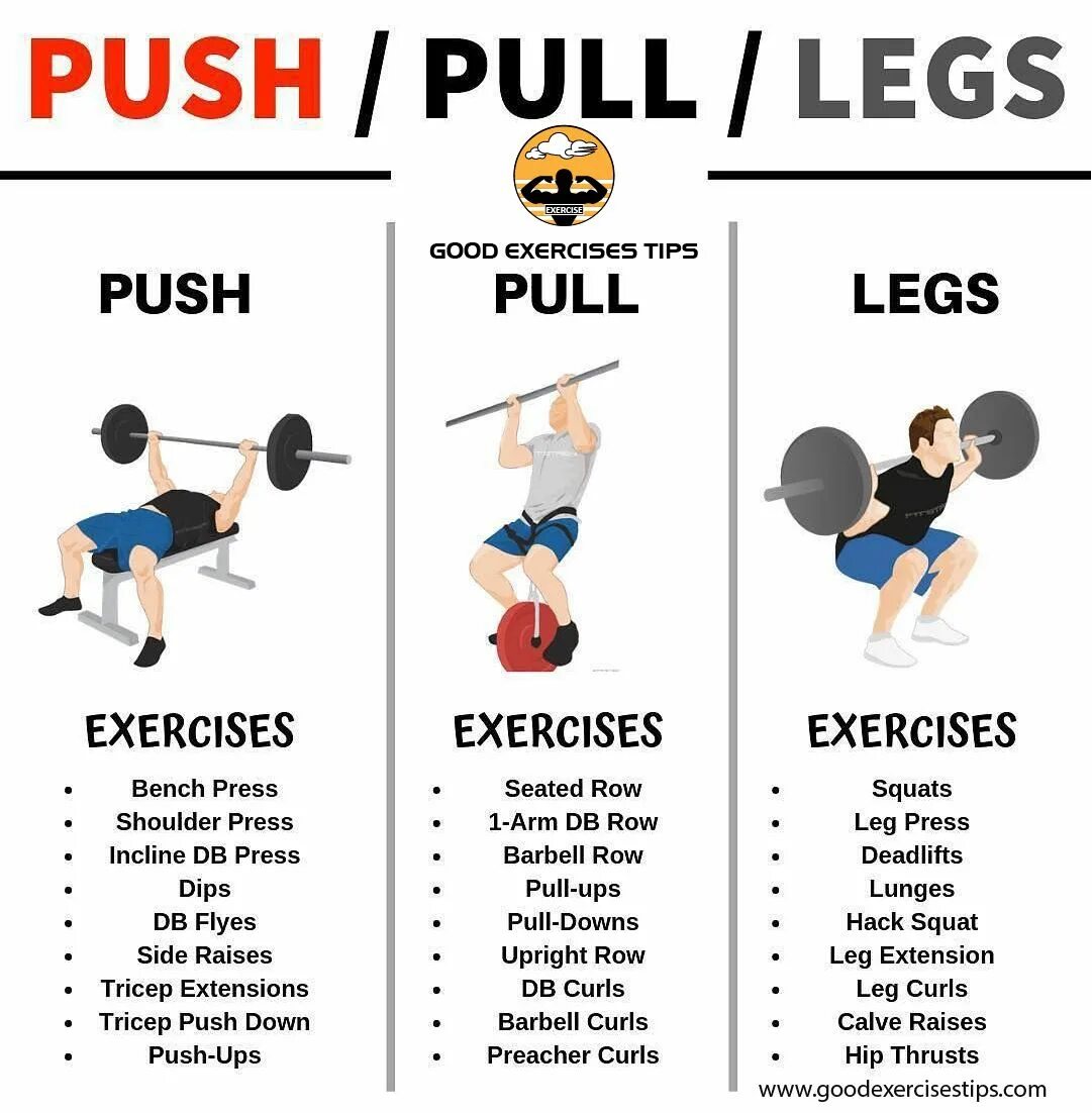 Pull exercises. Программа тренировок push pull legs. push pull legs split. push pull тренировка. push pull workout.