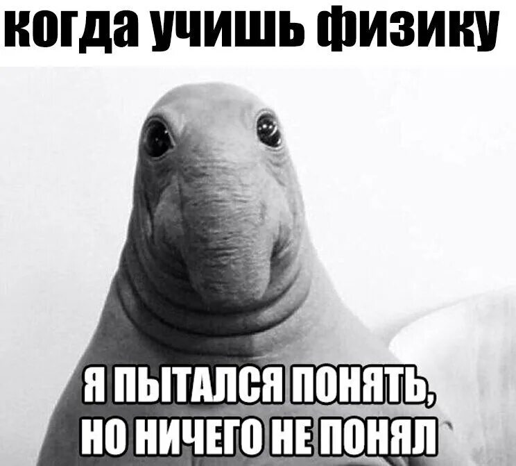Когда ничего не можешь сделать как называется. Я ничего не понимаю. я ничего не понимаю мем. когда ничего не понимаешь. я не понимаю мем.
