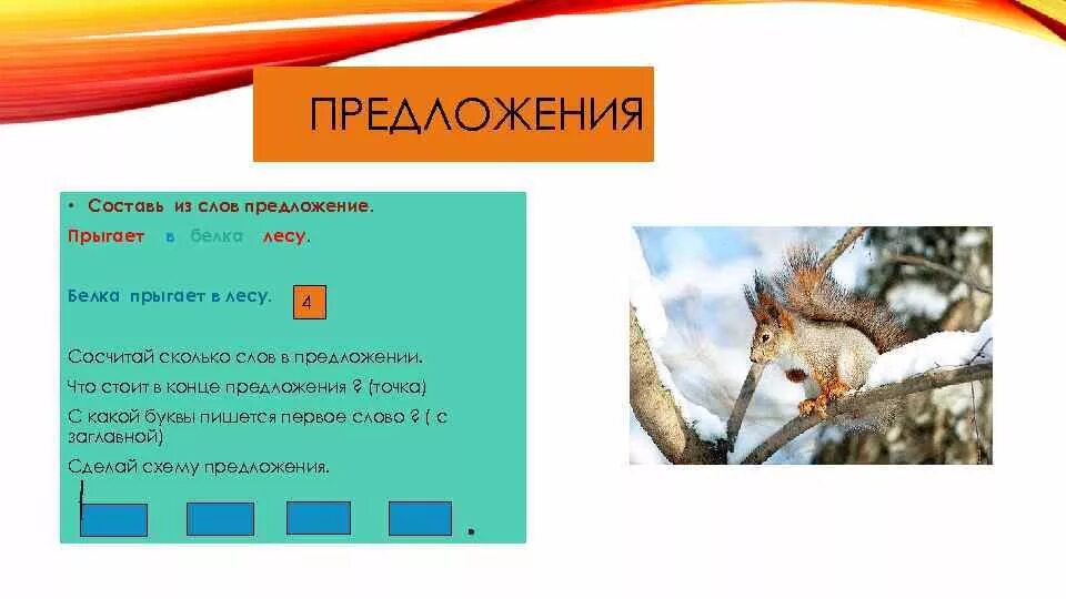 Белка и волк читать. Предложение со словом белка. Предложение со словом белки. Придумай предложение из слова лес. Придумай предложение со словом белки.