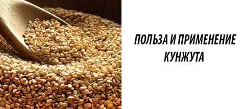 Что содержит кунжут