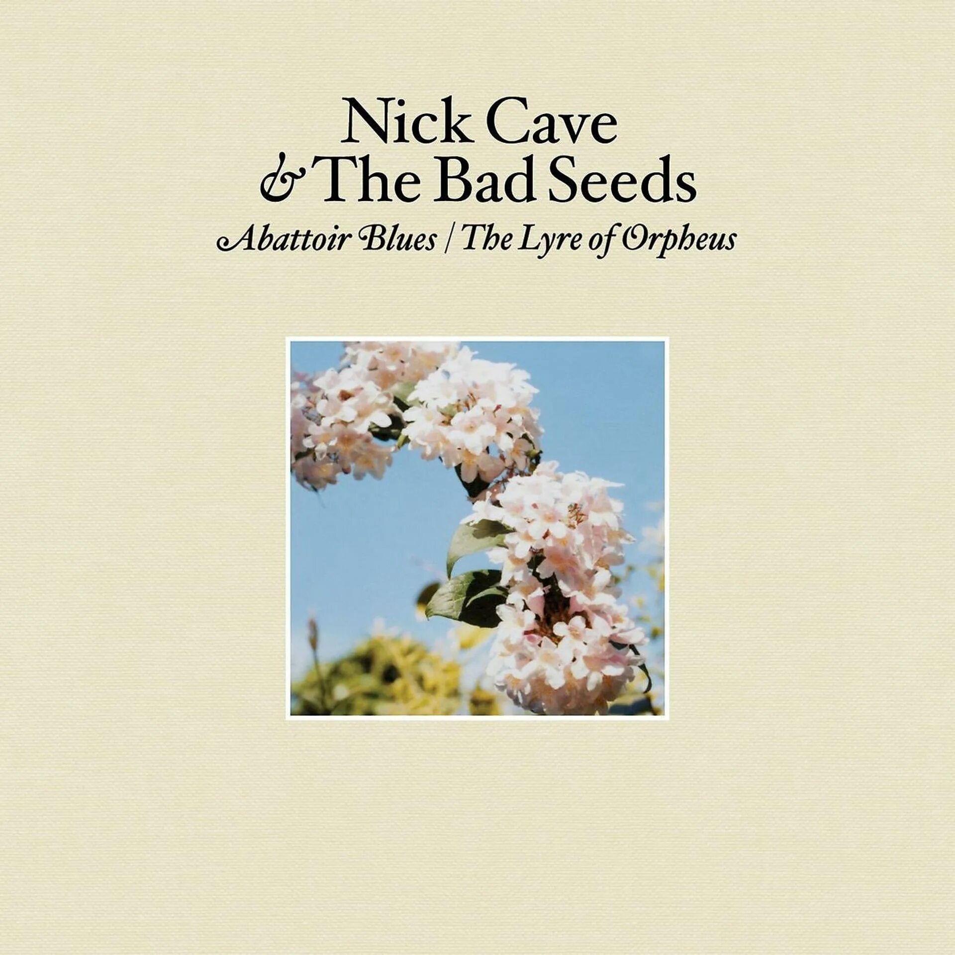 Nick cave the bad seeds o. Nick Cave and the Bad Seeds - Abattoir Blues (2004). Abattoir Blues/the Lyre of Orpheus Nick Cave and the Bad Seeds. The Lyre of Orpheus Nick Cave. Abattoir Blues/the Lyre of Orpheus ник Кейв.