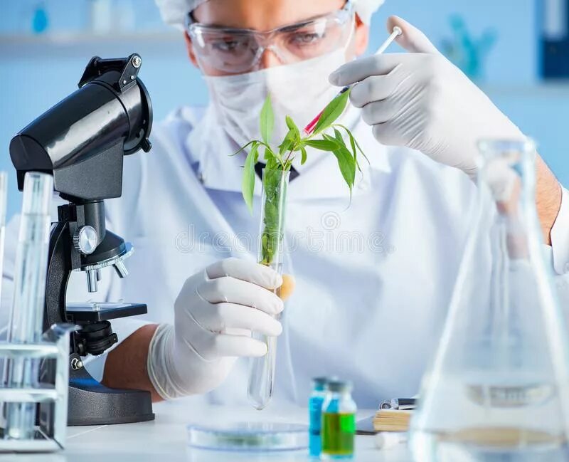 Научные достижения в области биотехнологий. Биотехнология. Биотехнологии ученые. Биотехнология в современной медицине. Биотехнология это наука.