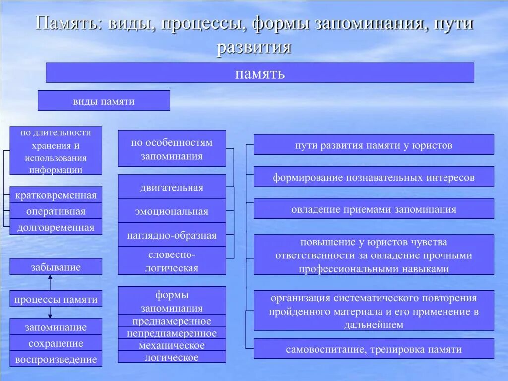 Память: понятие, виды, процессы. Виды и процессы памяти. Виды запоминания памяти. Память процессы памяти виды памяти.