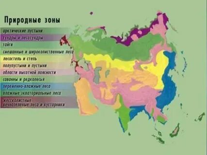 Любая природная зона евразии