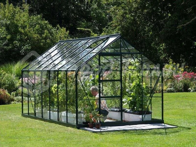 The Best Greenhouses for Successful Year-Round Gardening Best greenhouse, Polyca