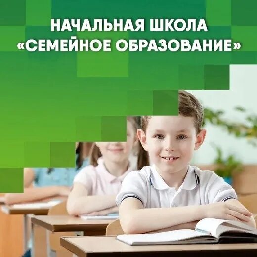 Школа после семейного обучения. Школа семейного образования. семейное образование реклама. семейное обучение в школе. 1 класс семейное образование.