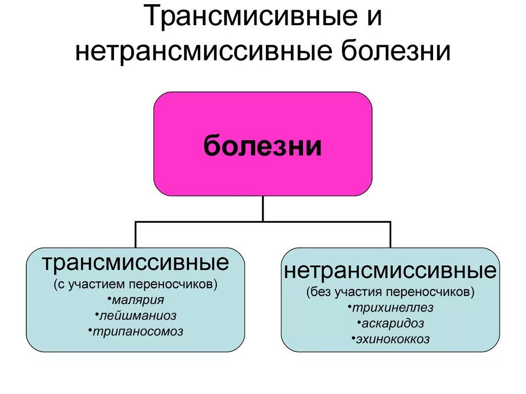 Примеры природных очагов. Нетрансмиссивные природно-очаговые заболевания. Классификация трансмиссивных инфекций. Схема природного очага нетрансмиссивного. Трансмиссивные заболевания примеры.