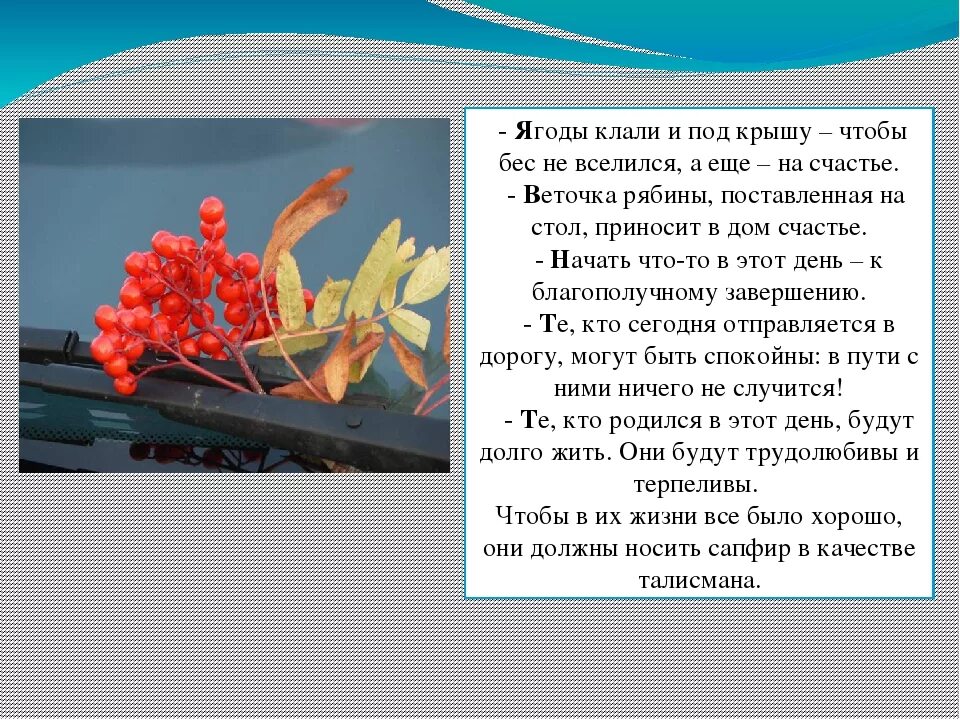 Именины у рябины. 23 Сентября праздник рябины. Именины рябины 23 сентября. 23 сентября характеристика