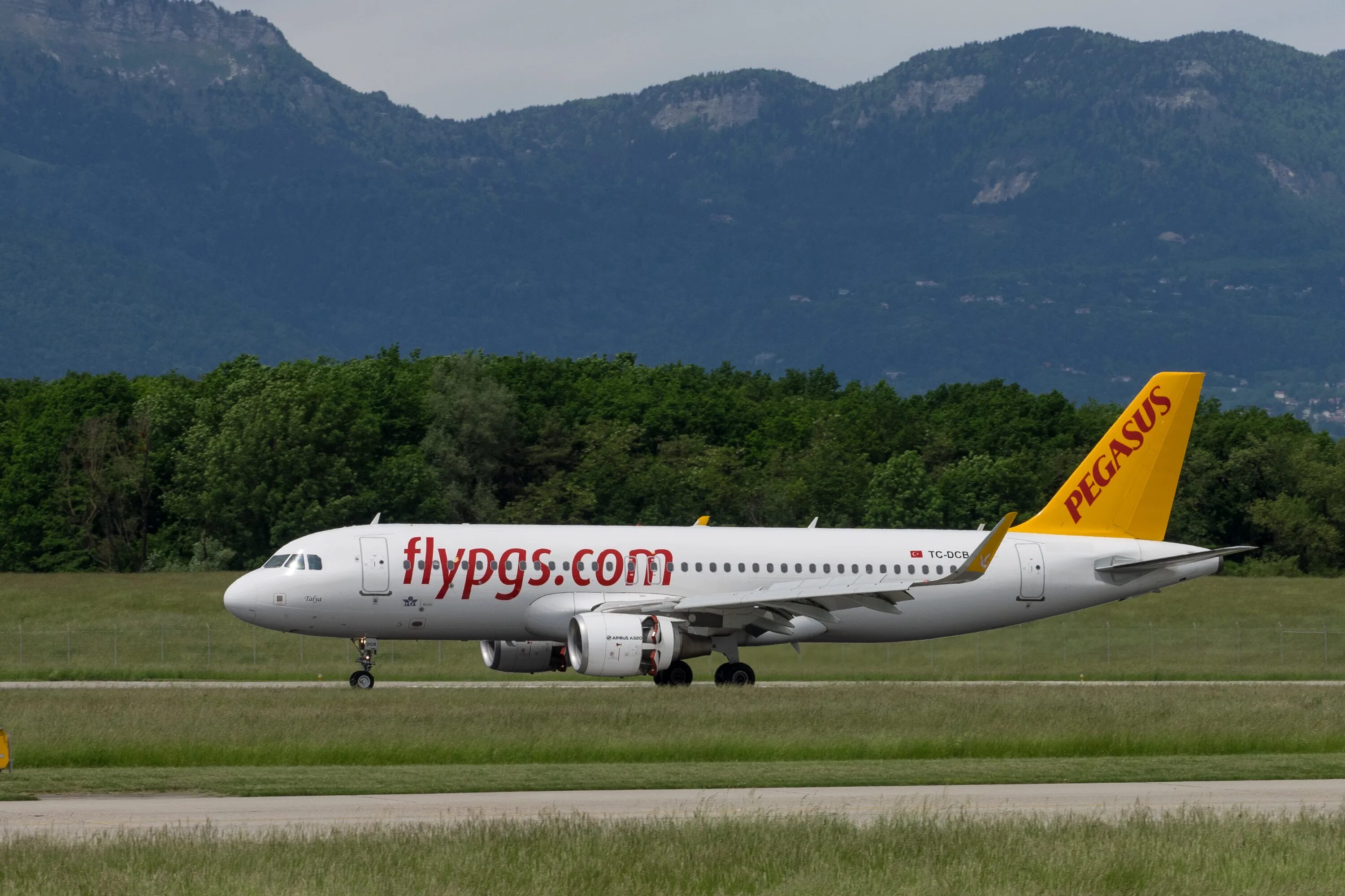 Airbus а321 Пегасус. Airbus a320 Pegasus. Pegasus Airlines Airbus-320. А320 Пегасус.