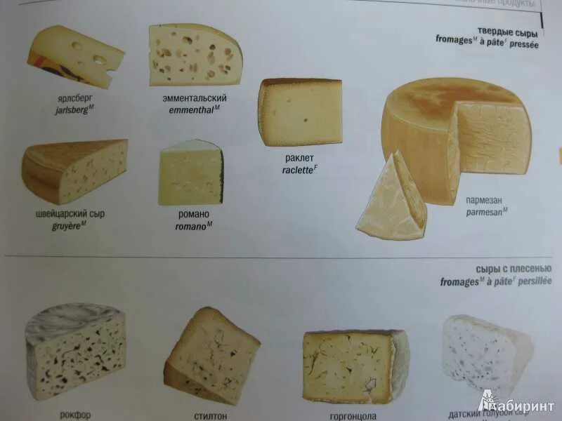 Твердые сыры названия в россии
