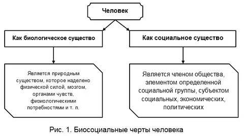 Человек определение социальное