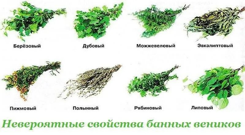 Деревьев можно давать кроликам