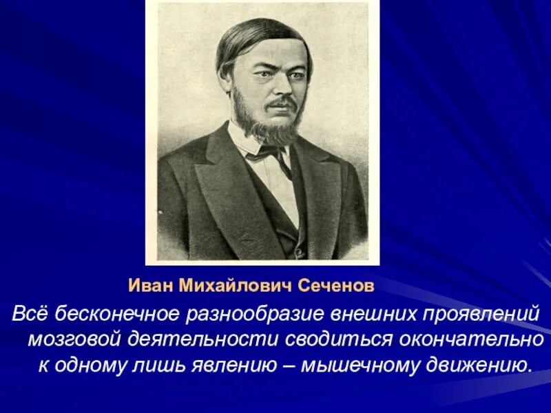 Бесконечное разнообразие