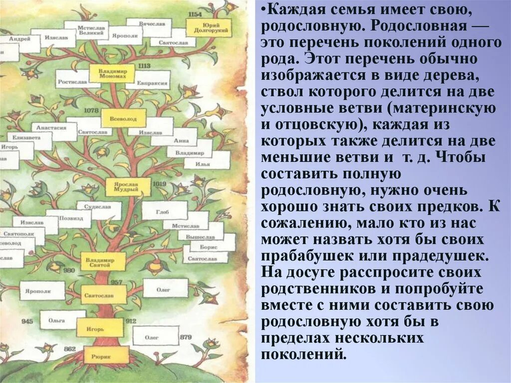 Родословная это перечень поколений одного рода. Рассказ о родословной. Родословная понятие для детей. Родословная история моей семьи.