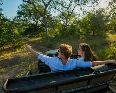 Safari romance