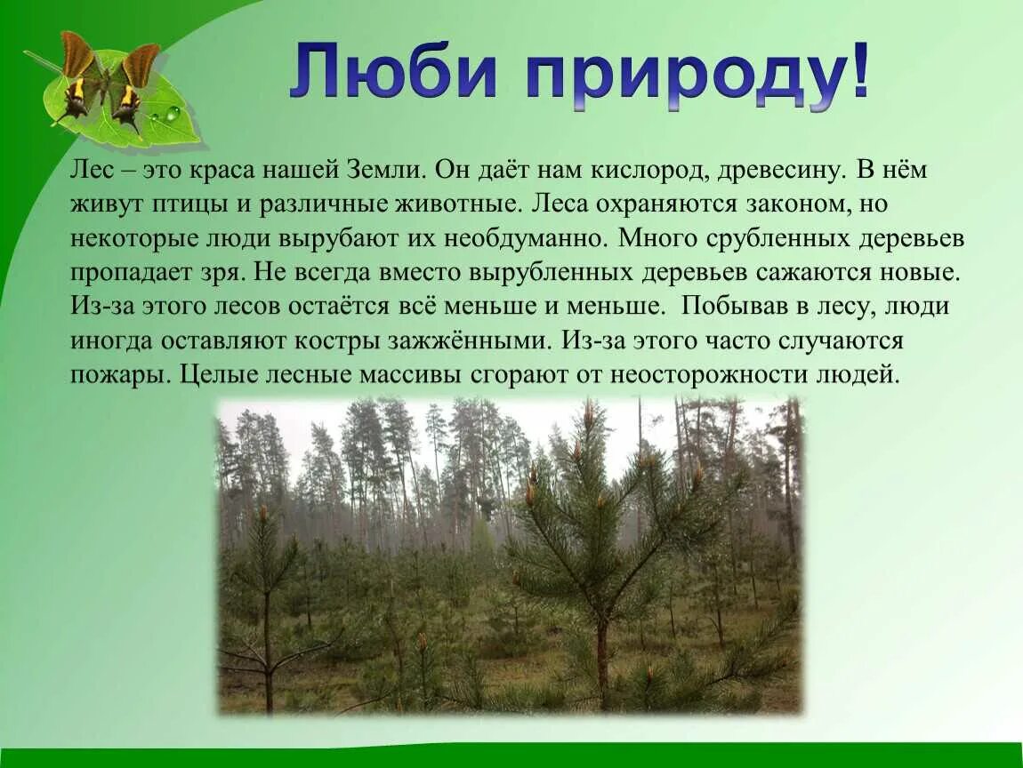 Значение рассказов о природе. Текст про природу. Сообщение о природе. Рассказы о природе. Доклад о природе.