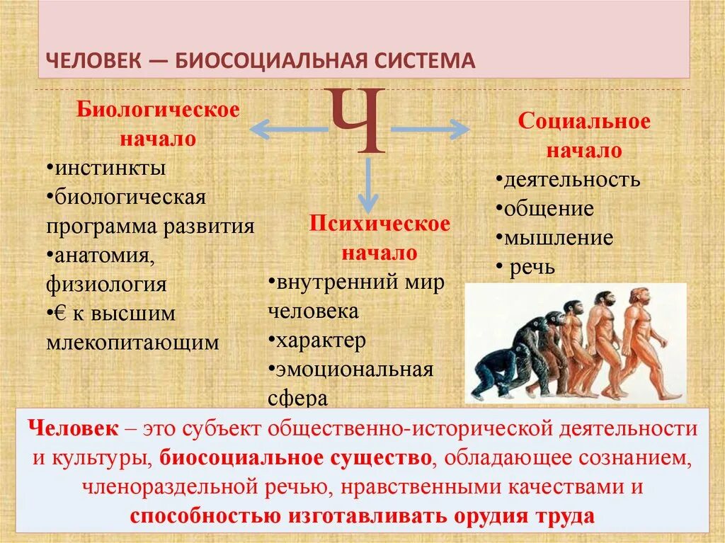 Что можно отнести к биологическим. Биологическая и социальная природа человека. Человек биосоциальное существо. Социальная природа это в обществознании. Биосоциальная природа человека.