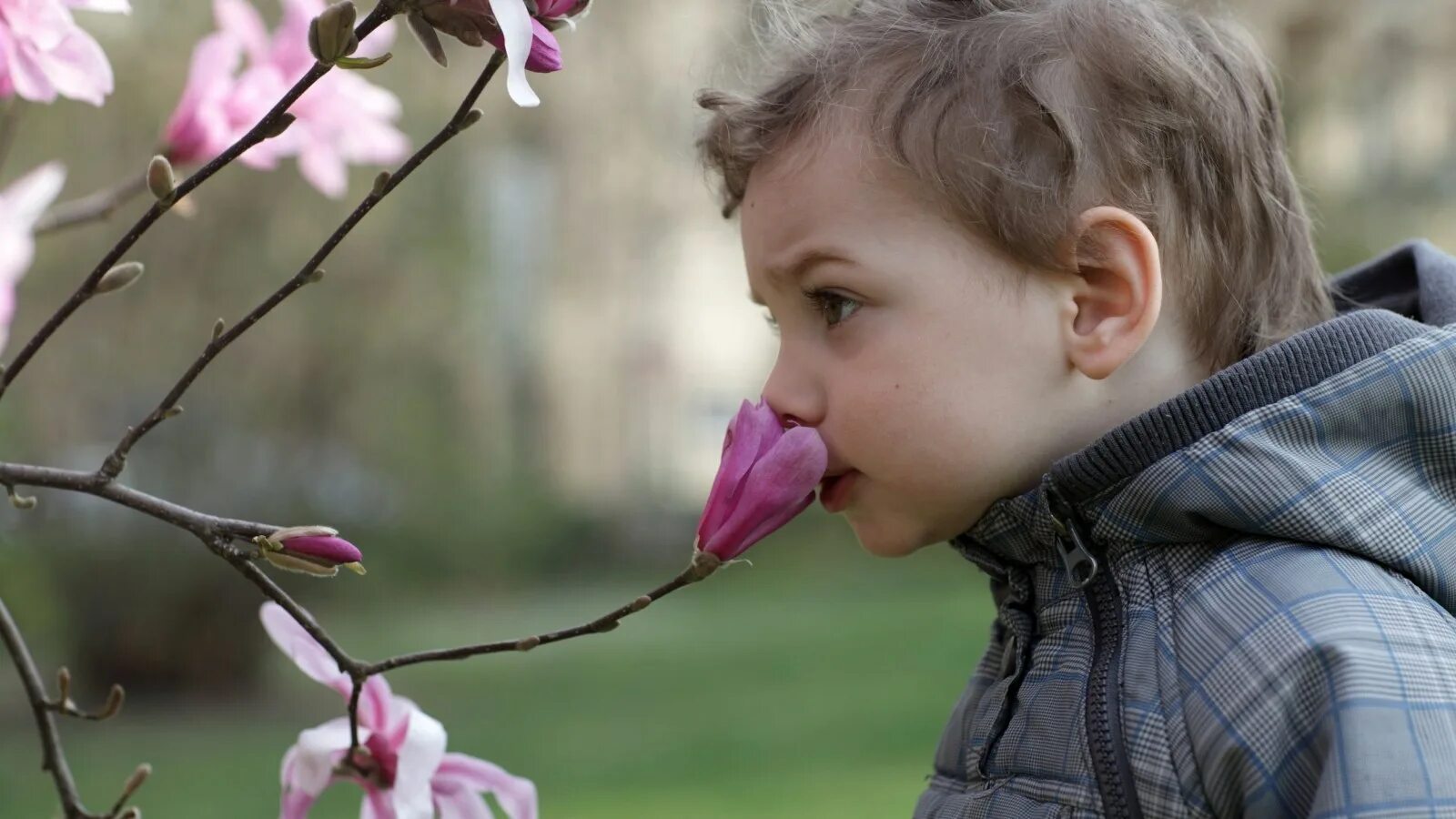 Why you smell this flower