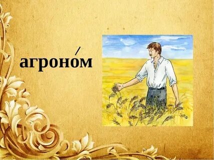 Ответы агронома