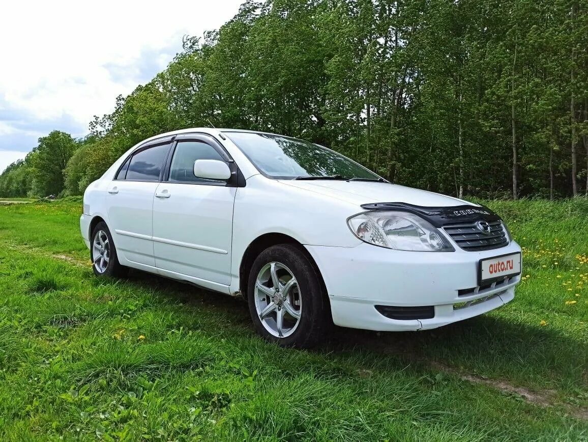 Тойота королла 9 поколения. Тойота Королла 2003 белая. Toyota Corolla 2003. Тойота Королла 2003 года. Тойота Королла 2003 года седан.