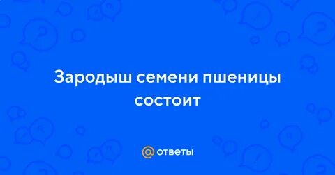 3 зародыш семени это