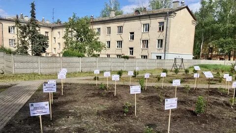 Ботанический сад имени гроздова брянск