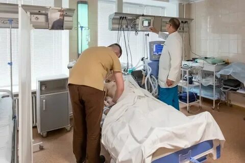Сосудистый центр сергиев посад