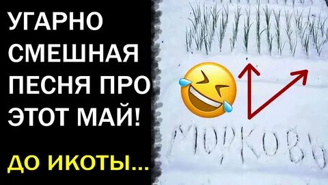 Май будет холодным в 2024 году