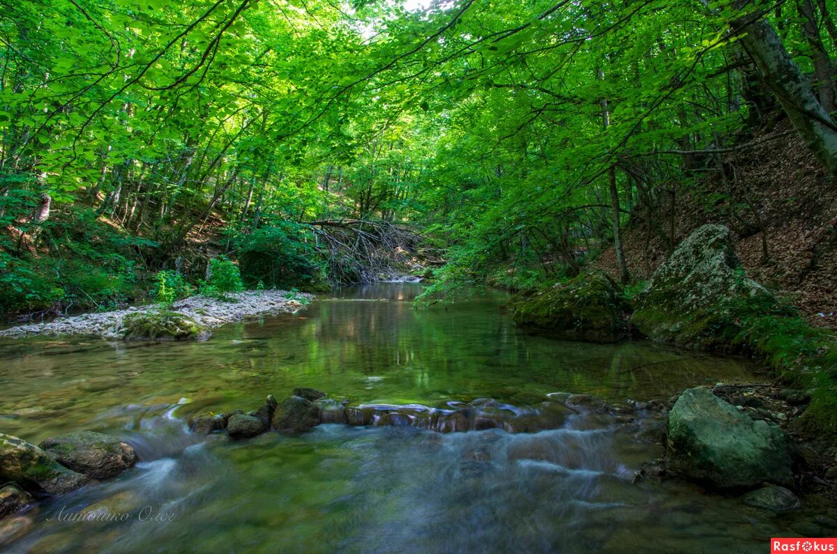 Крымские реки и озера. Река Коккозка в Крыму. Крым, Соколиное, речка Коккозка. Река Кокозка Коккозка Крым. Большой каньон Крыма Кокозка.