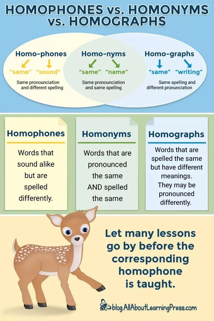 Same differently. Homonyms homographs. Homonyms homographs homophones. Homophones homographs and homonyms proper. Homographs в английском языке.