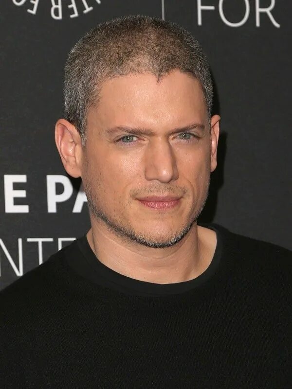 Вентворт Миллер. Wentworth Miller 2013. Вентворт Миллер 2020. Доминик вентворт миллер