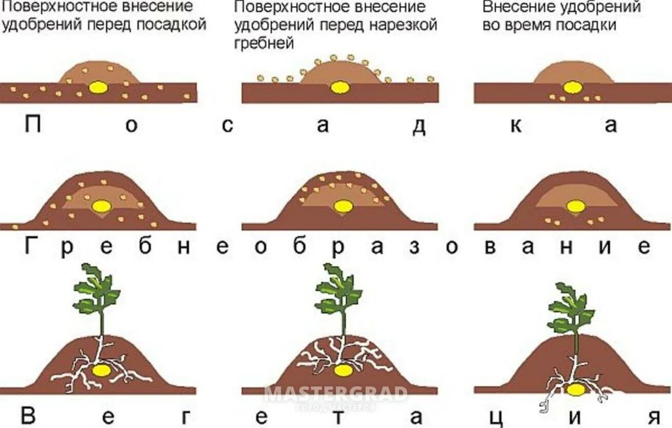 Схема посадки картофеля в гребни. Гребневая схема посадки картофеля. Глубина посадки картофеля в гребни вручную. Ширина междурядий при посадке картофеля вручную.