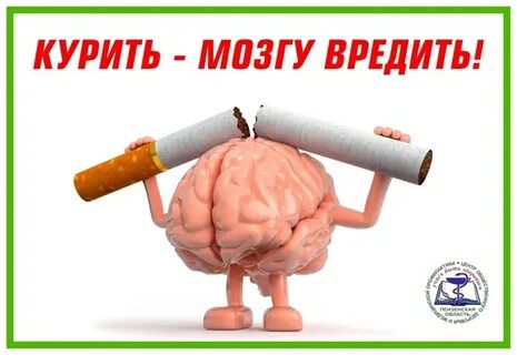 Курят мозг