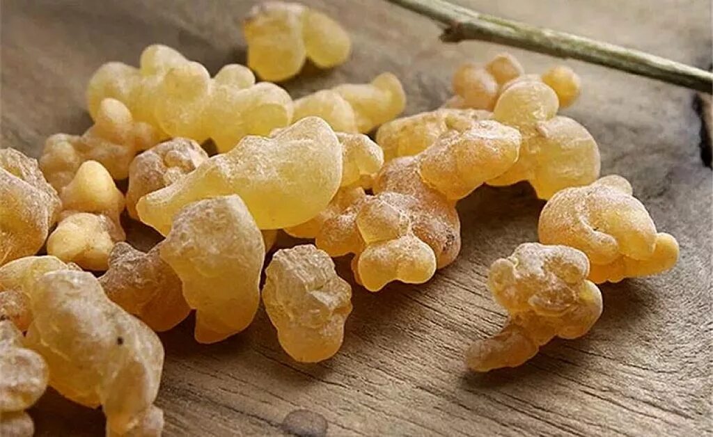 Из чего делают ладан. Сиамский бензоин. Олибанум. Оманский ладан. Смола boswellia.