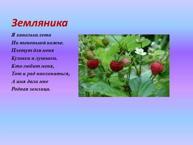 Стихотворение про землянику. Загадка про землянику. Загадка про землянику для детей. Загадка про клубнику. Землянику часть речи